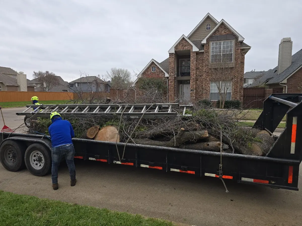 Expert Lot Clearing with proper safety equipment in Orange Beach